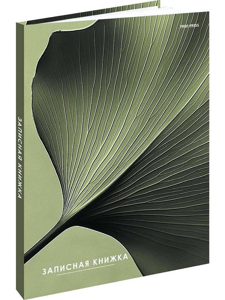 Книжка записная а5 тв.обл. 80л. кл. "зеленый лист" (проф-пресс) глянц.лам.