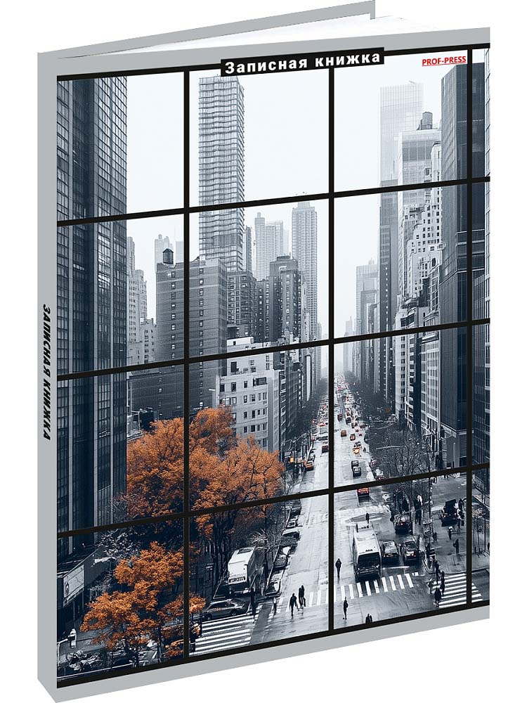 Книжка записная а5 тв.обл. 80л. кл. "мегаполис в окне" (проф-пресс) глянц.лам.