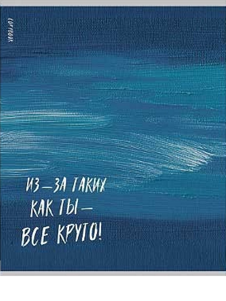 Тетрадь 48л. кл. "вдохновляющие надписи" (проф-пресс) б/б,асс-т