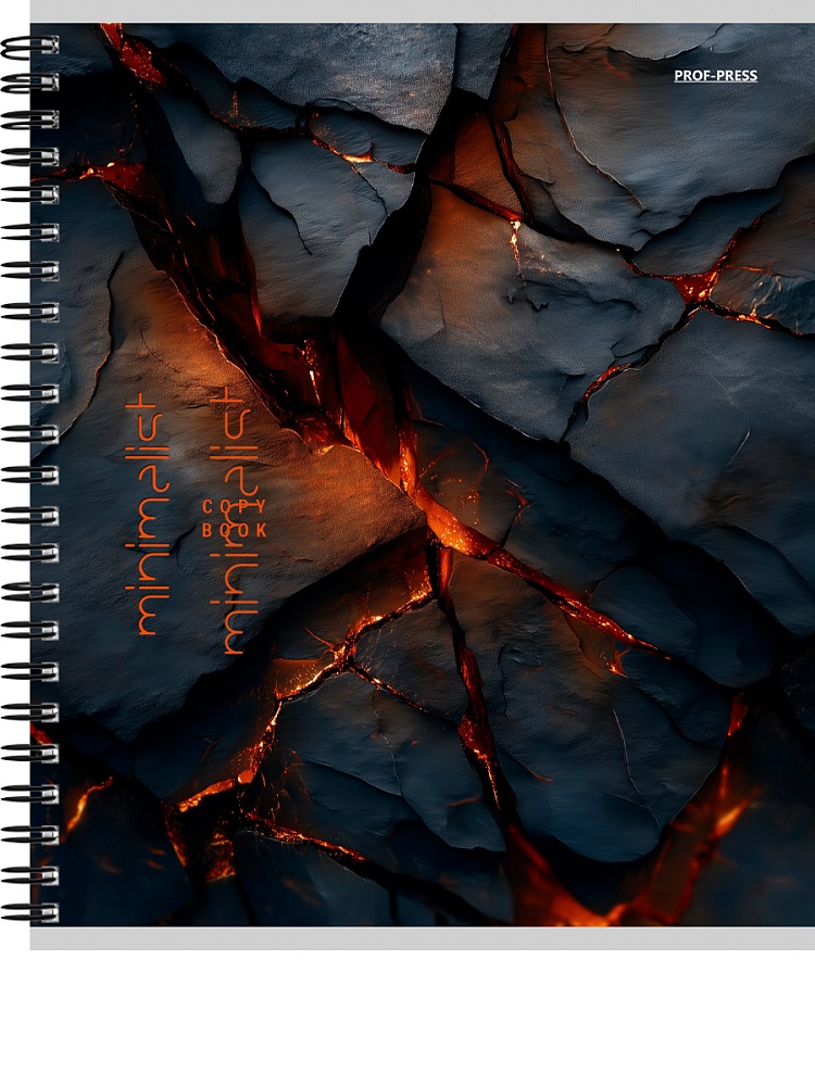 Тетрадь на спирали 96л. кл. "красивые дизайны" (проф-пресс) б/б