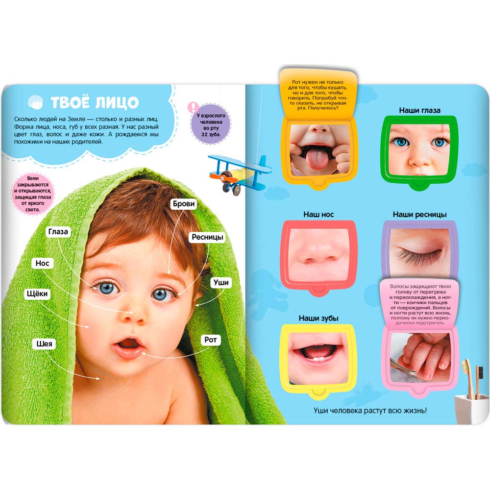 Книжка "первые знания малыша. мое тело"