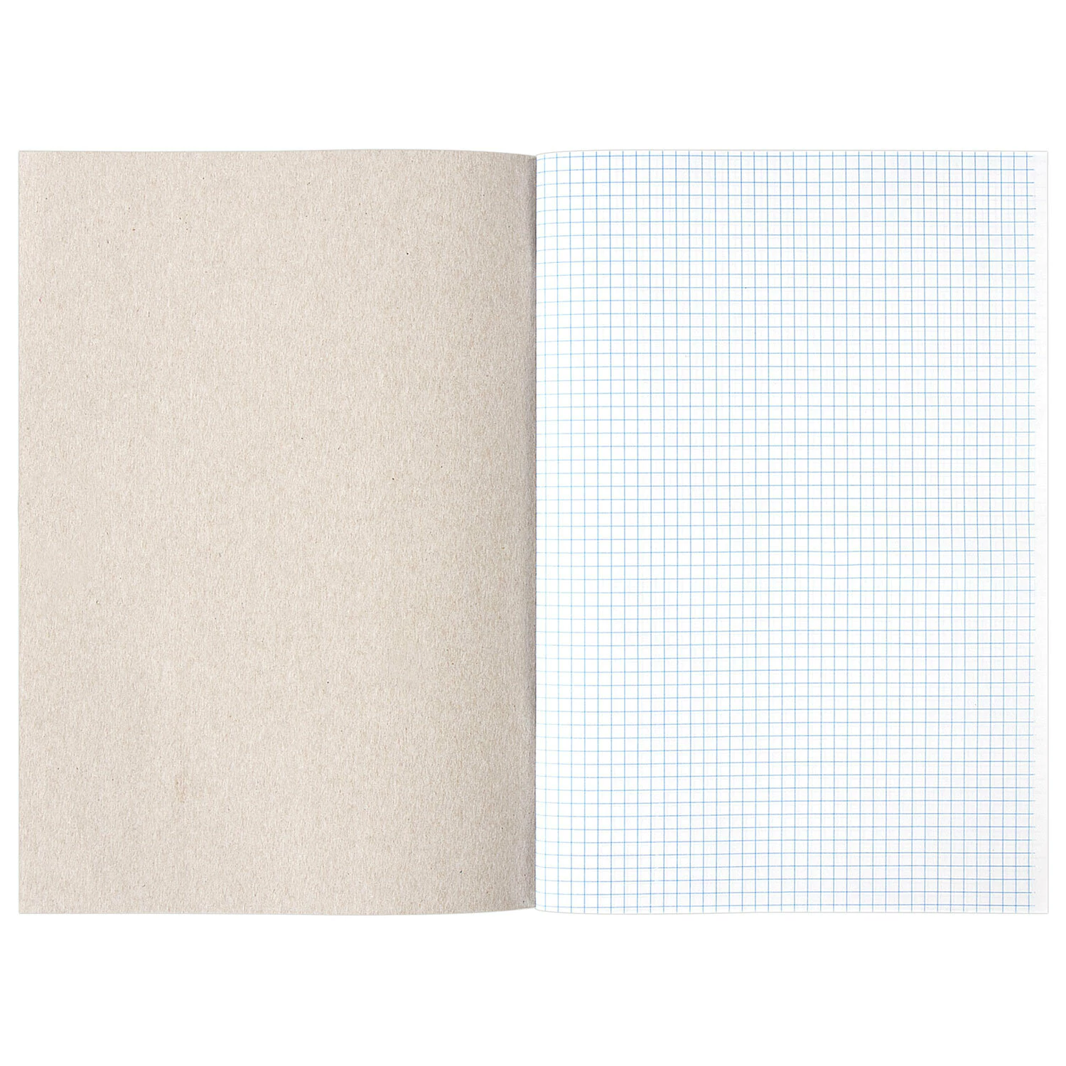 Книга учёта а4 48л. клетка, обл.картон, блок офсет