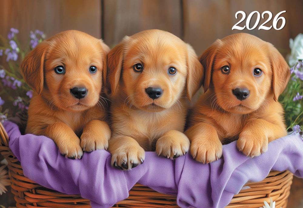 календарь карманный 2026 "собаки" Календарь карманный 2026 "собаки"