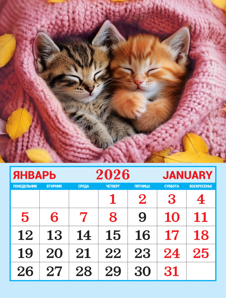 календарь настенный 2026 "котята" на магните Календарь настенный 2026 "котята" на магните