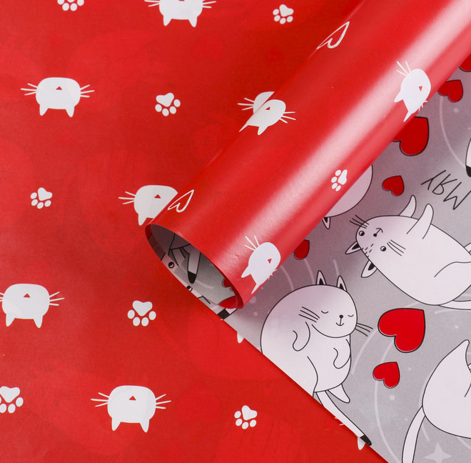 Бумага упаковочная 2-ст. 100х70см "коты"