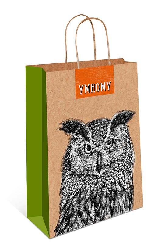 пакет подарочный крафт "умному" (26х32х12см) Пакет подарочный крафт "умному" (26х32х12см)