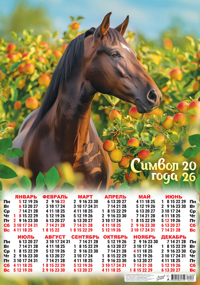 Календарь настенный 2026 а2 "символ года. конь в яблоках" фото