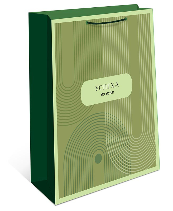 Пакет подарочный (26х32см)