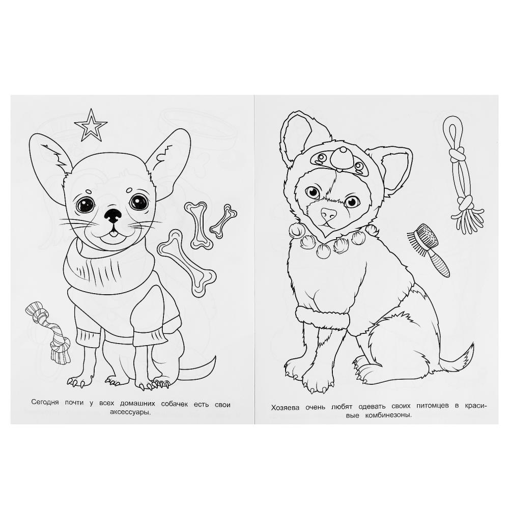 Раскраска "модные собачки" а4 (умка)