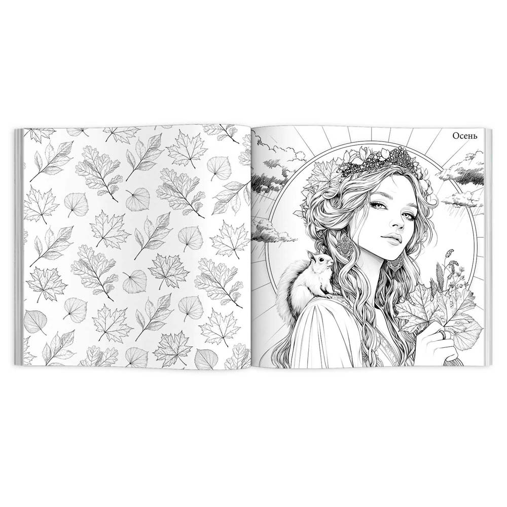 Раскраска "красивые девушки. симфония года" (феникс+)