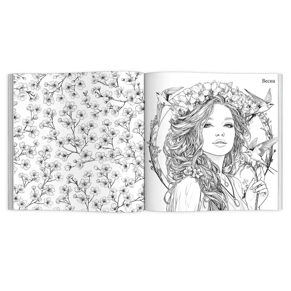 Раскраска "красивые девушки. симфония года" (феникс+)
