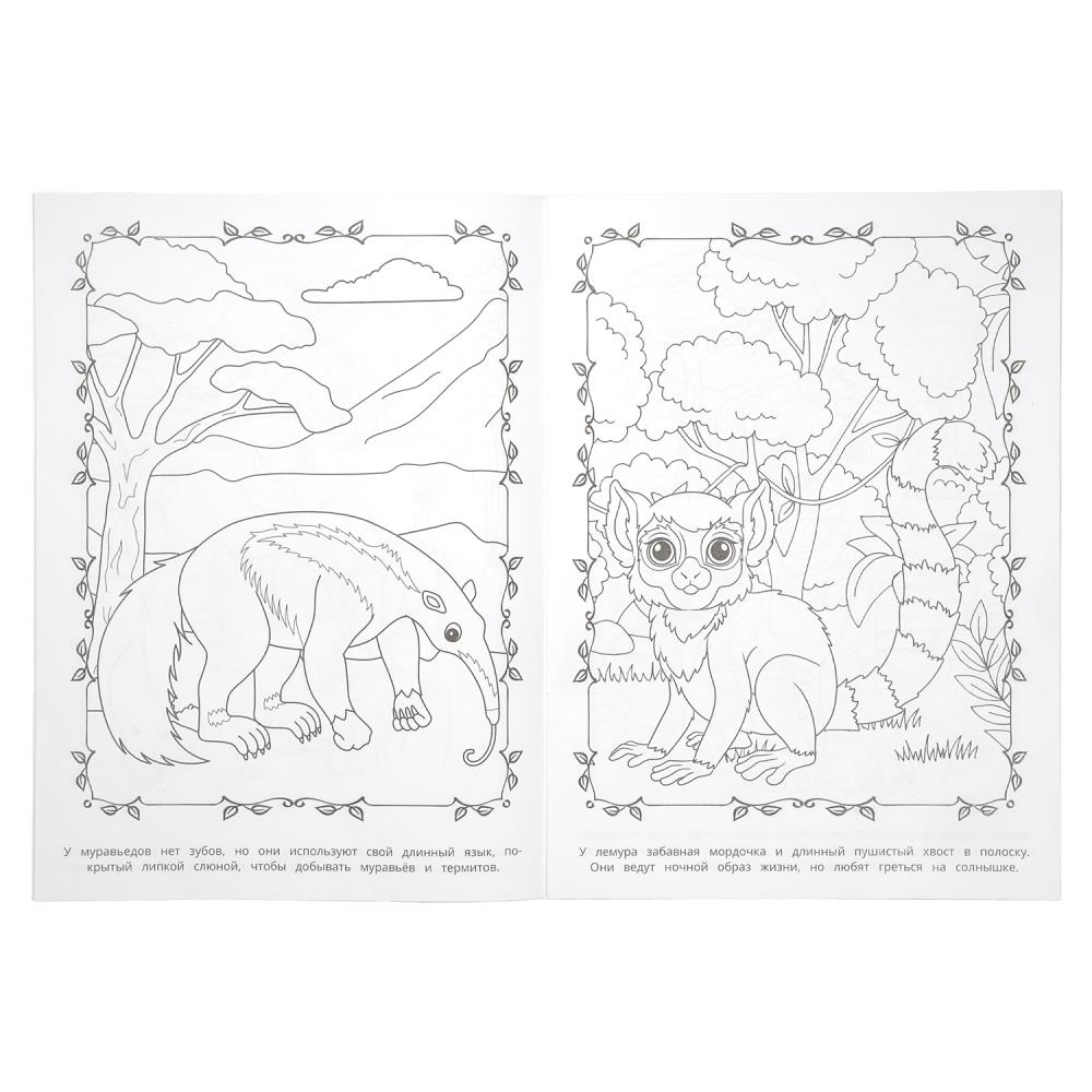 Раскраска "весёлые джунгли" а4 (умка)