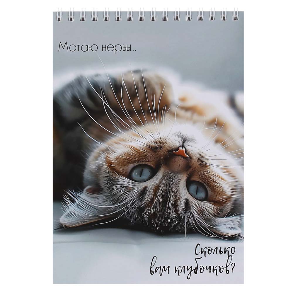 Скетчбук 140х200мм 30л. гребень "кошачья жизнь" (кокос) 180г/м2