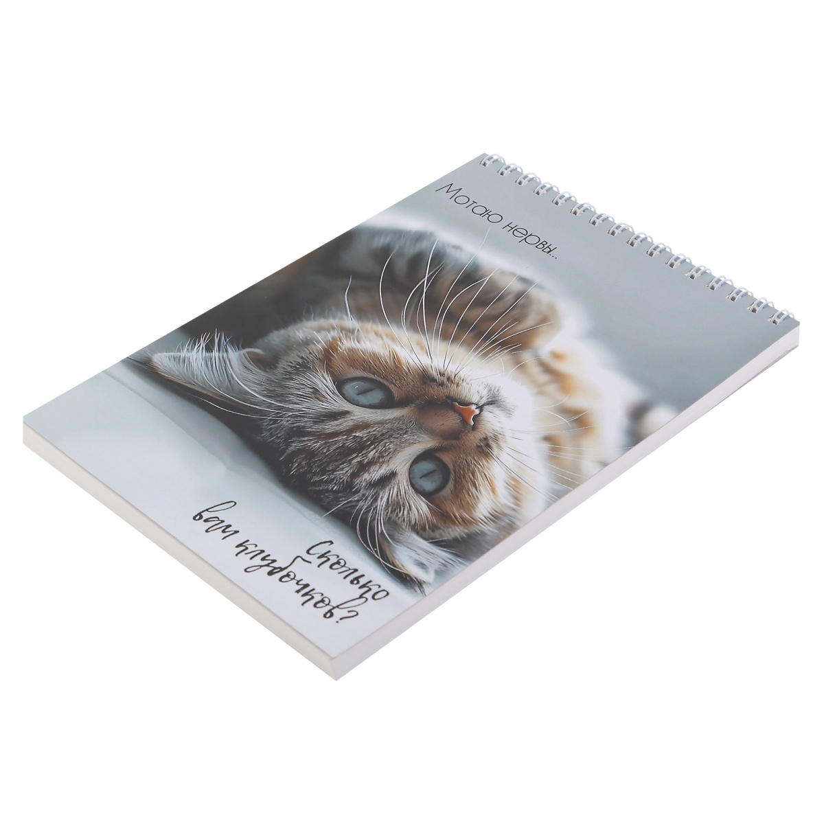 Скетчбук 140х200мм 30л. гребень "кошачья жизнь" (кокос) 180г/м2