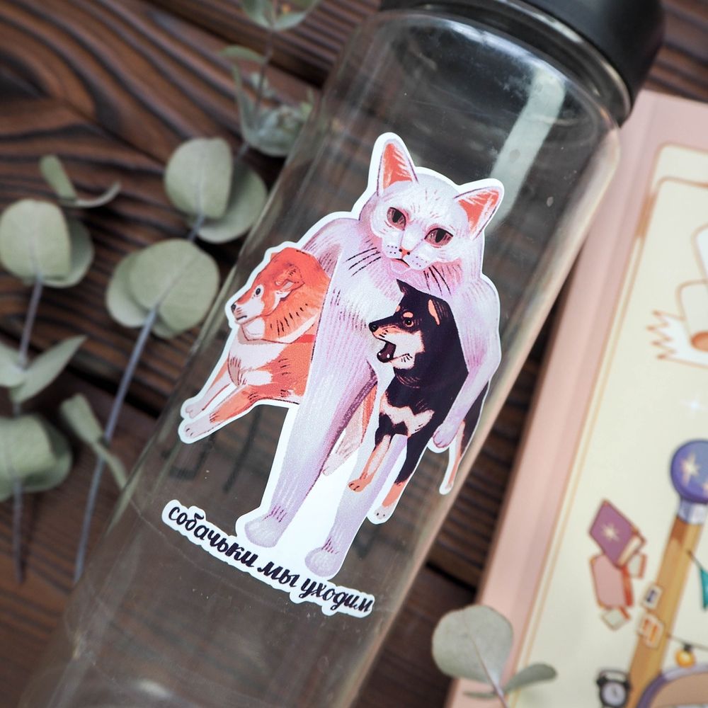 Наклейки 9х9см catdog