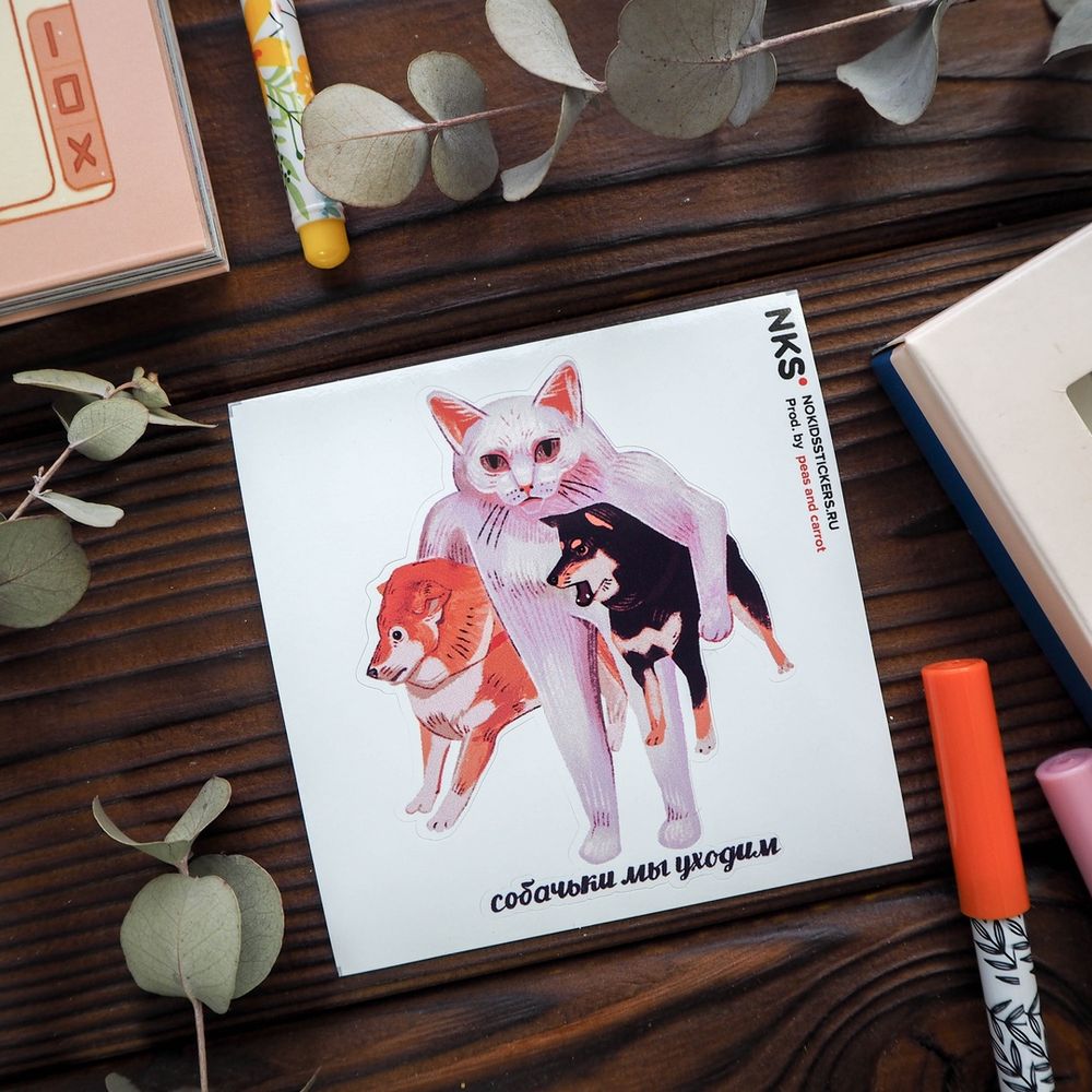 Наклейки 9х9см catdog