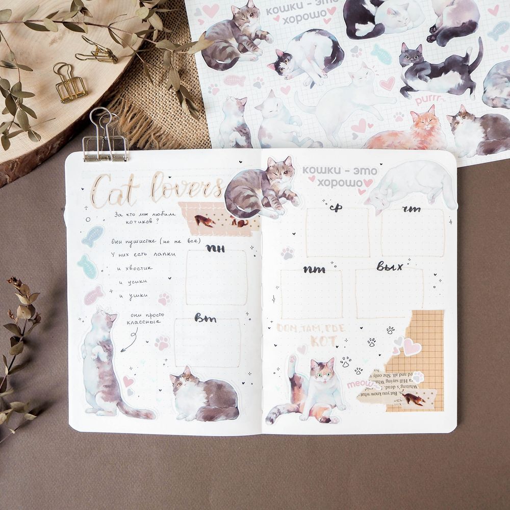 Наклейки винил а4 cats '21