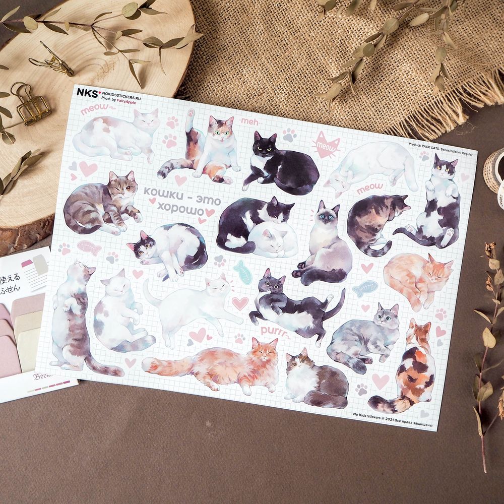 Наклейки винил а4 cats '21
