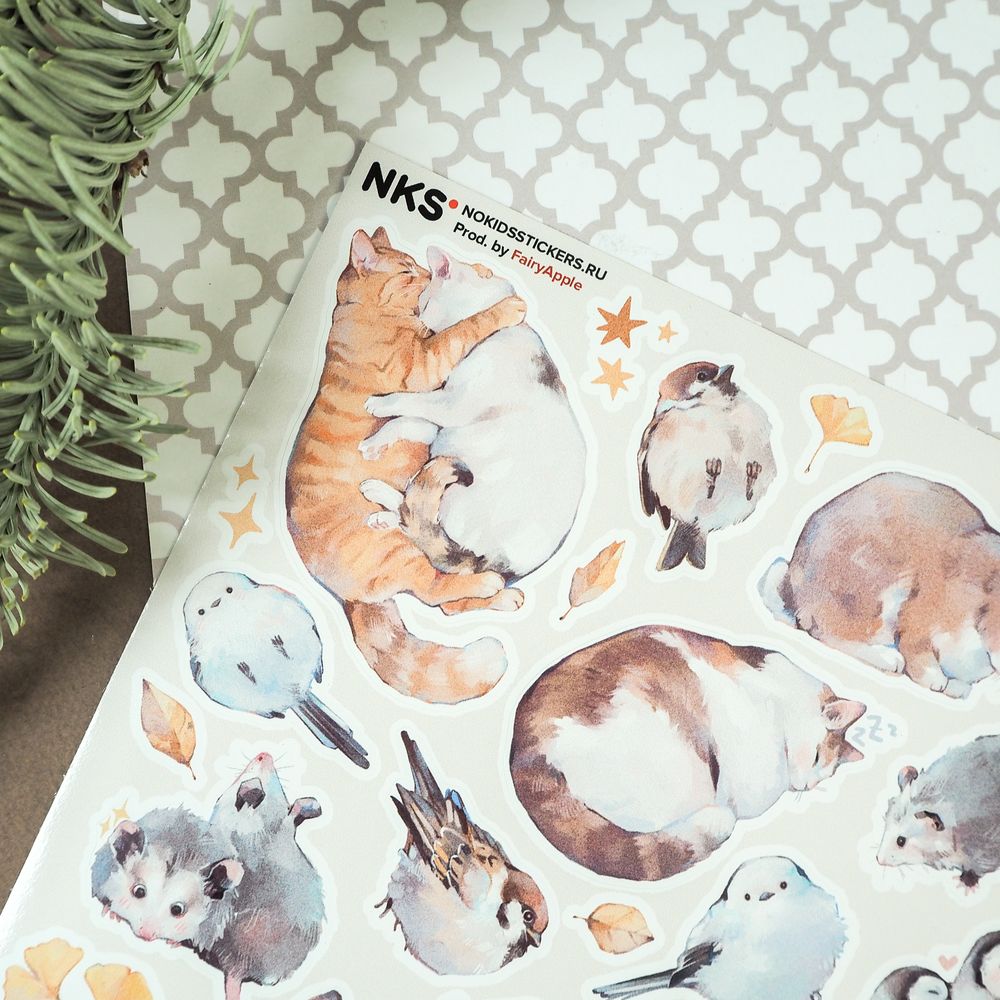 Наклейки винил а4 pudgy