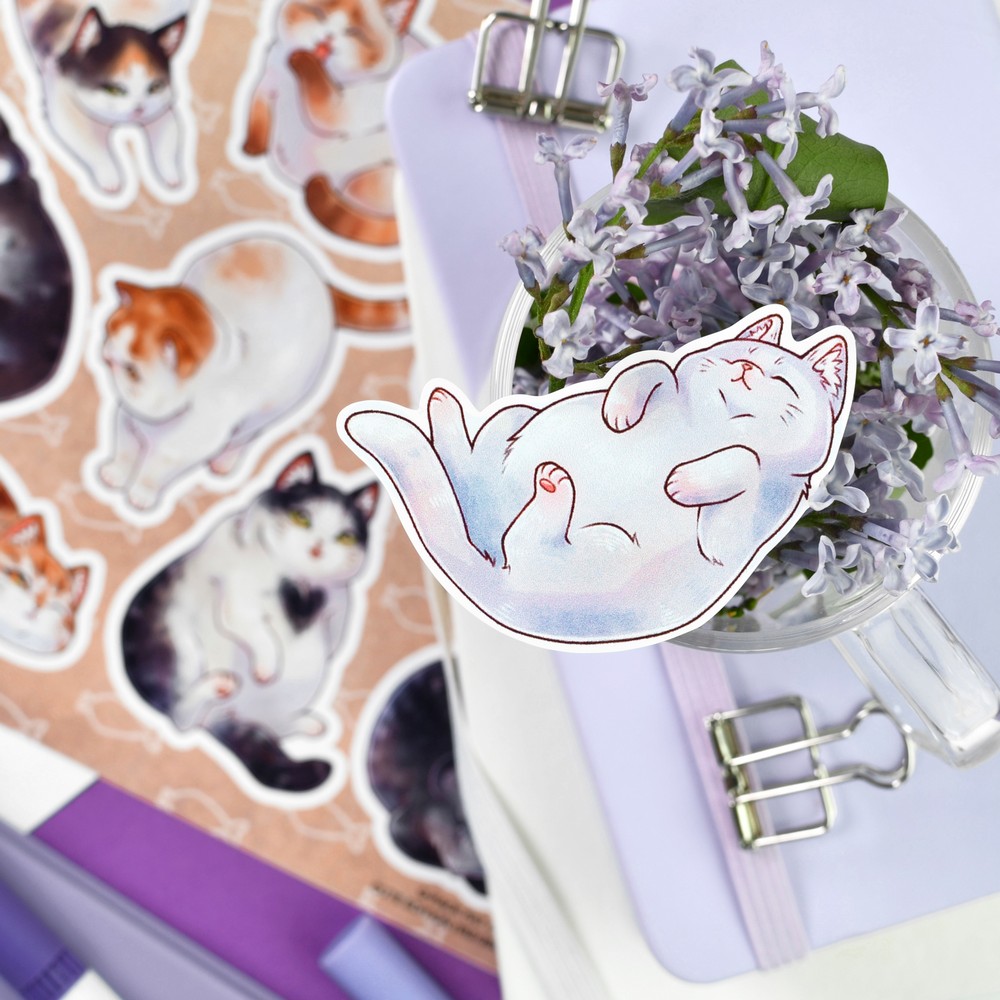 Наклейки 15х15см fat cat