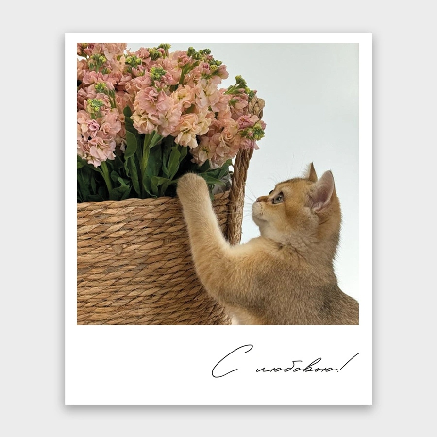 Открытка мини 9х11см "с любовью!"