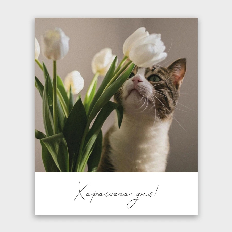 Открытка мини 9х11см "хорошего дня!"