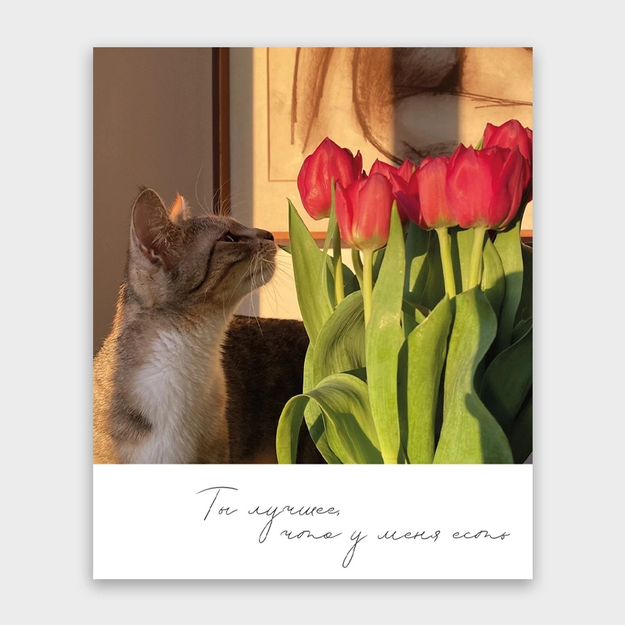 открытка мини 9х11см "ты лучшее, что у меня есть!" Открытка мини 9х11см "ты лучшее, что у меня есть!"