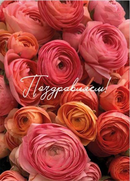 открытка мини 5х7см "поздравляем!" Открытка мини 5х7см "поздравляем!"