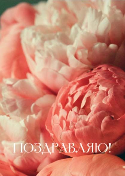 открытка мини 5х7см "поздравляю!" Открытка мини 5х7см "поздравляю!"