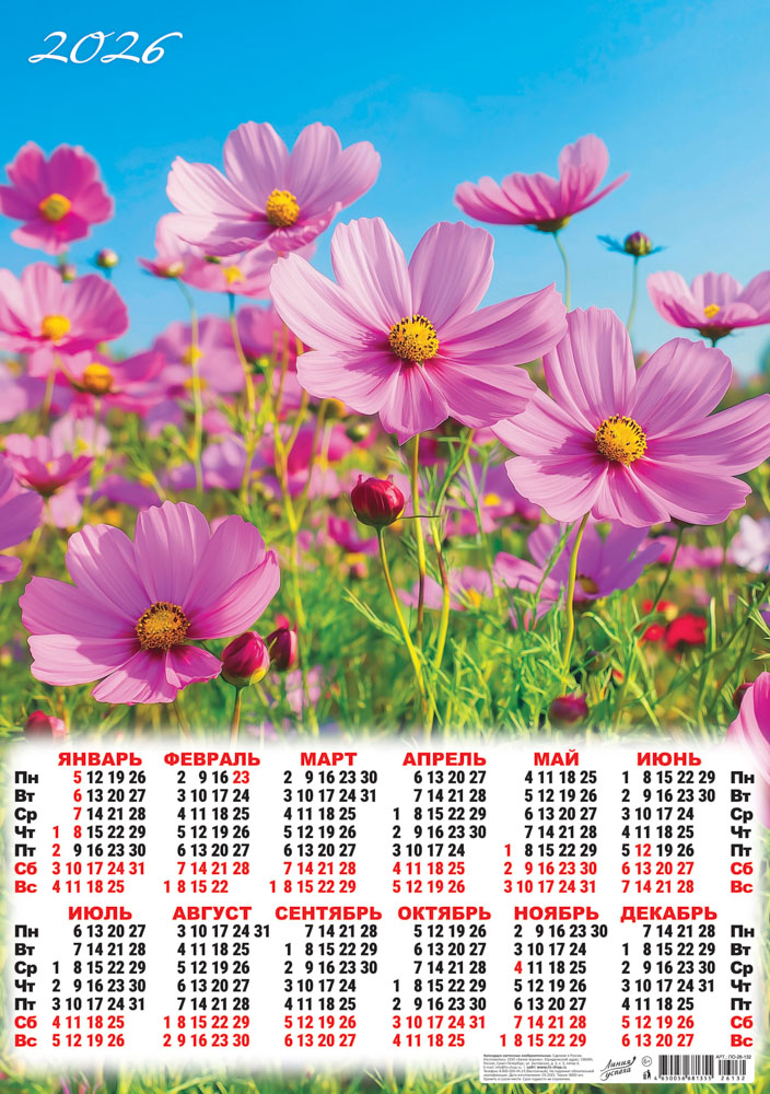 Календарь настенный 2026 а2 "полевые цветы. нежная космея"