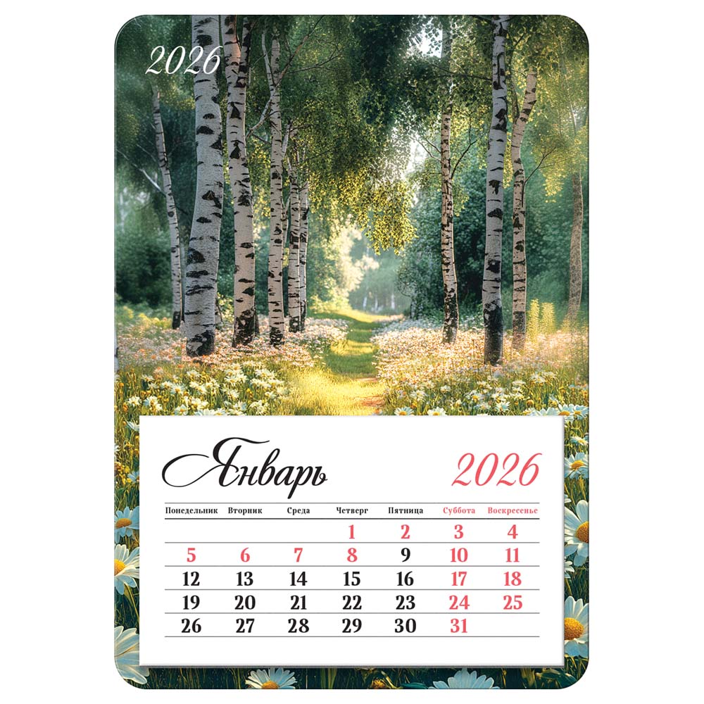 Календарь настенный 2026 95х135 "берёзы" на магните