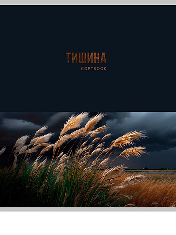 Тетрадь 48л. кл. "красота природы" (проф-пресс) б/б,асс-т