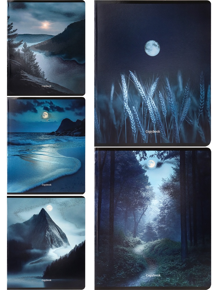тетрадь 48л. кл. "лунные пейзажи" (проф-пресс) б/б,твин лак,фольга,асс-т Тетрадь 48л. кл. "лунные пейзажи" (проф-пресс) б/б,твин лак,фольга,асс-т