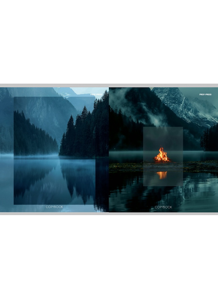 Тетрадь 48л. кл. "великолепие природы-2" (проф-прес) б/б,перевёртыш,асс-т