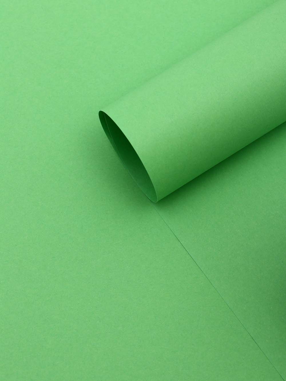 Бумага упаковочная крафт 50х70см "зеленый"