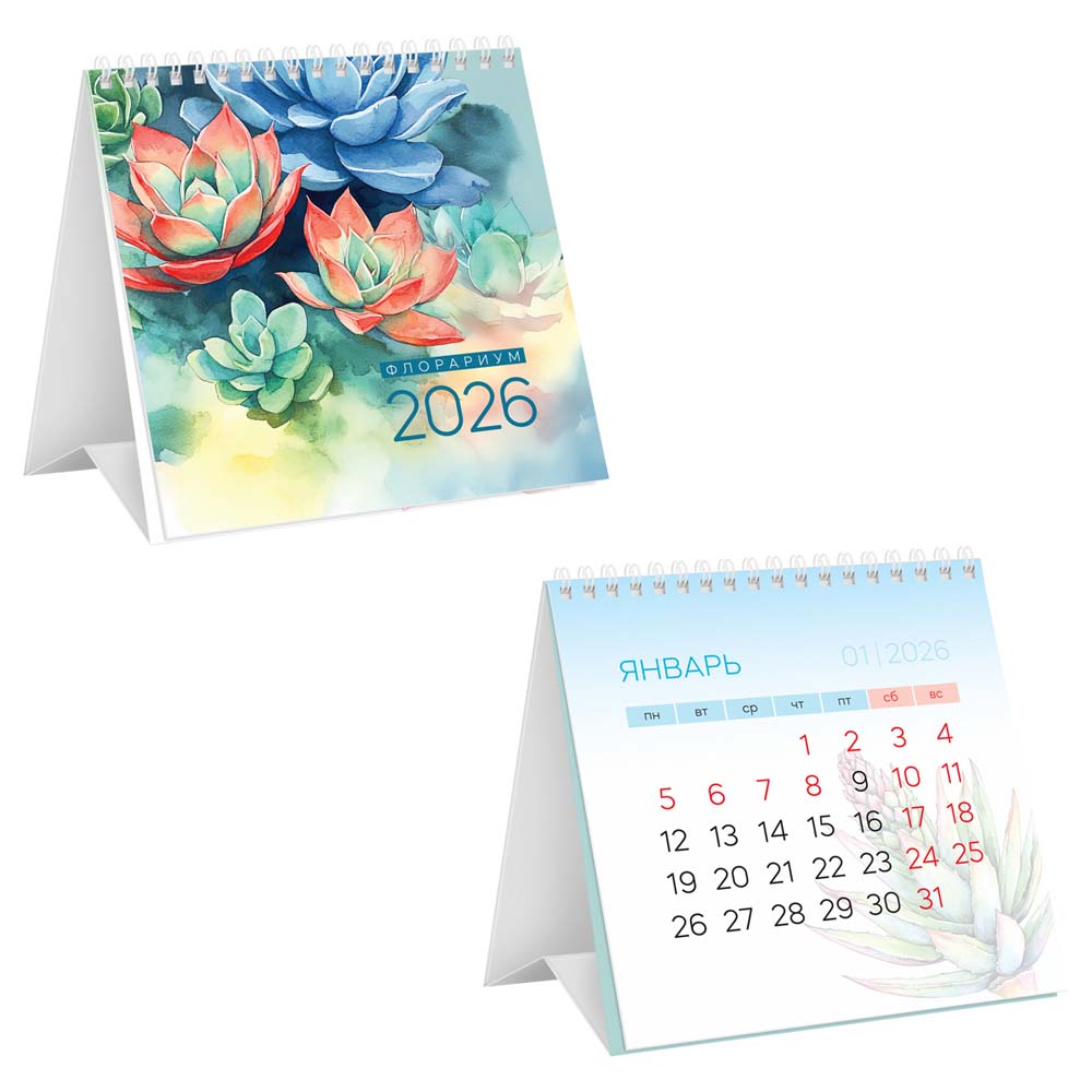 Календарь настольный 2026 100х100 "флорариум"