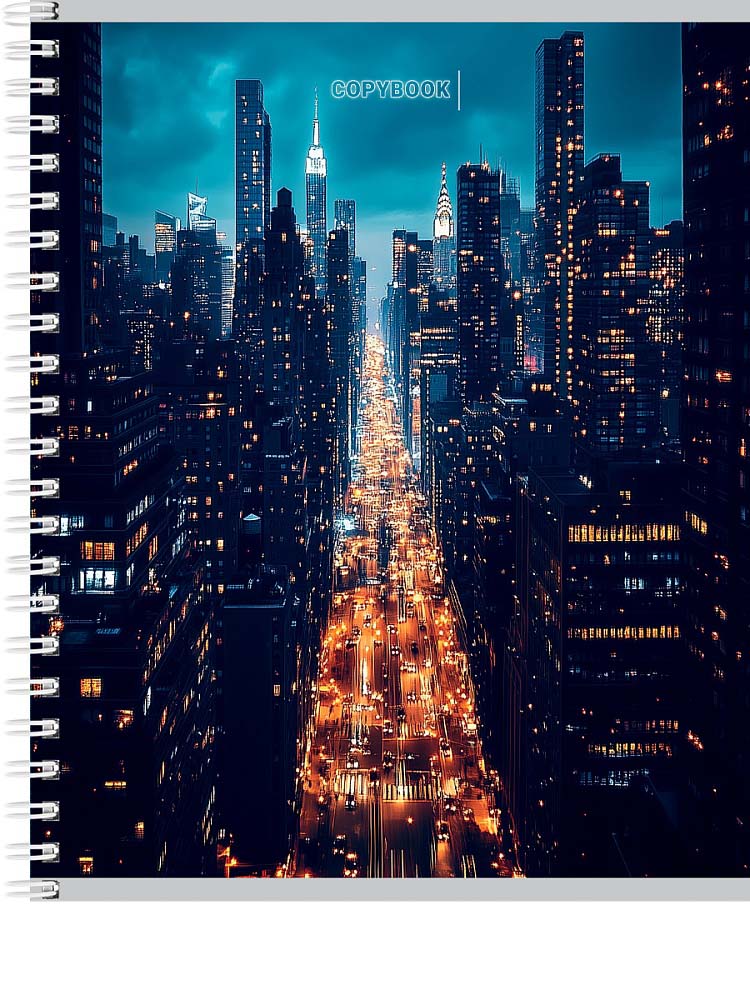 Тетрадь на гребне 48л. кл. "вид на ночной город" (проф-пресс) б/б,асс-т