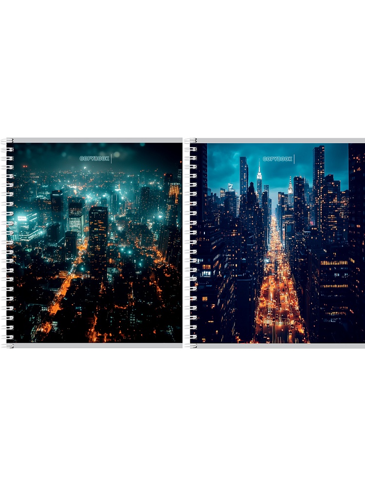 тетрадь на гребне 48л. кл. "вид на ночной город" (проф-пресс) б/б,асс-т Тетрадь на гребне 48л. кл. "вид на ночной город" (проф-пресс) б/б,асс-т