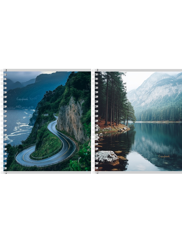 тетрадь на гребне 48л. кл. "виды природы-6" (проф-пресс) б/б,асс-т Тетрадь на гребне 48л. кл. "виды природы-6" (проф-пресс) б/б,асс-т