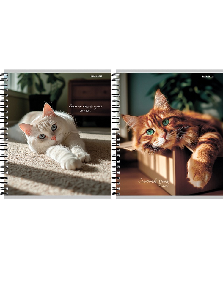 тетрадь на гребне 48л. кл. "милые коты-2" (проф-пресс) б/б,асс-т Тетрадь на гребне 48л. кл. "милые коты-2" (проф-пресс) б/б,асс-т