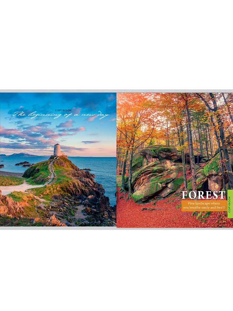 Тетрадь 96л. кл. "чарующие виды" (проф-пресс) б/б,перевёртыш,асс-т