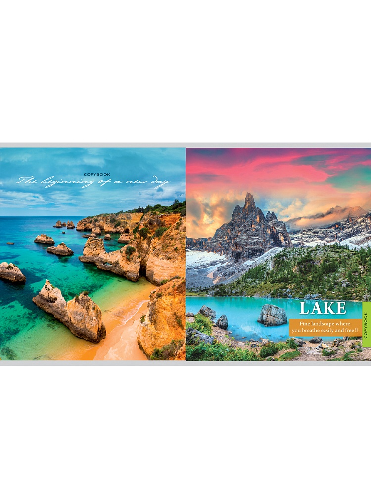 Тетрадь 96л. кл. "чарующие виды" (проф-пресс) б/б,перевёртыш,асс-т