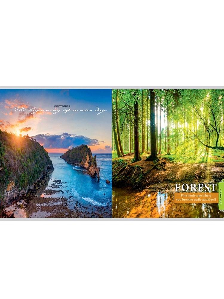 Тетрадь 96л. кл. "чарующие виды" (проф-пресс) б/б,перевёртыш,асс-т