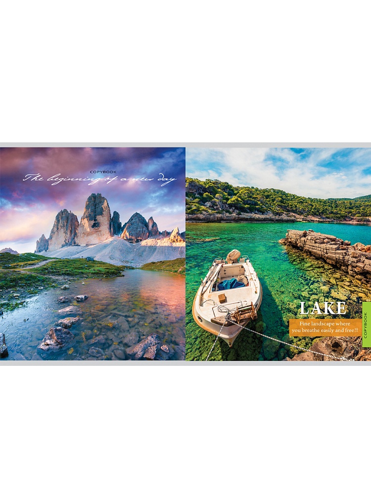 Тетрадь 96л. кл. "чарующие виды" (проф-пресс) б/б,перевёртыш,асс-т