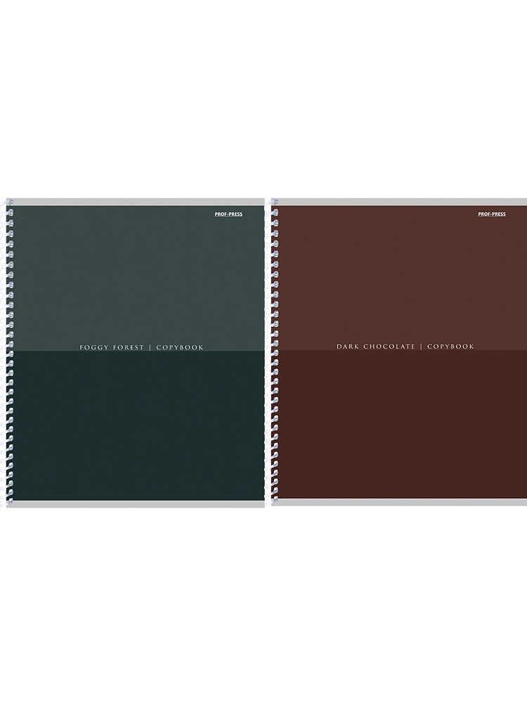 тетрадь на спирали 96л. кл. "минимализм в тёмных тонах-1" (проф-пресс) б/б,асс-т Тетрадь на спирали 96л. кл. "минимализм в тёмных тонах-1" (проф-пресс) б/б,асс-т