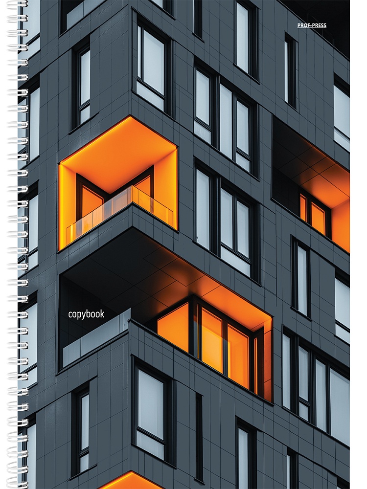 тетрадь а4 гребень 96л. кл. "архитектура и свет-1" (проф-пресс) б/б,твин лак Тетрадь а4 гребень 96л. кл. "архитектура и свет-1" (проф-пресс) б/б,твин лак