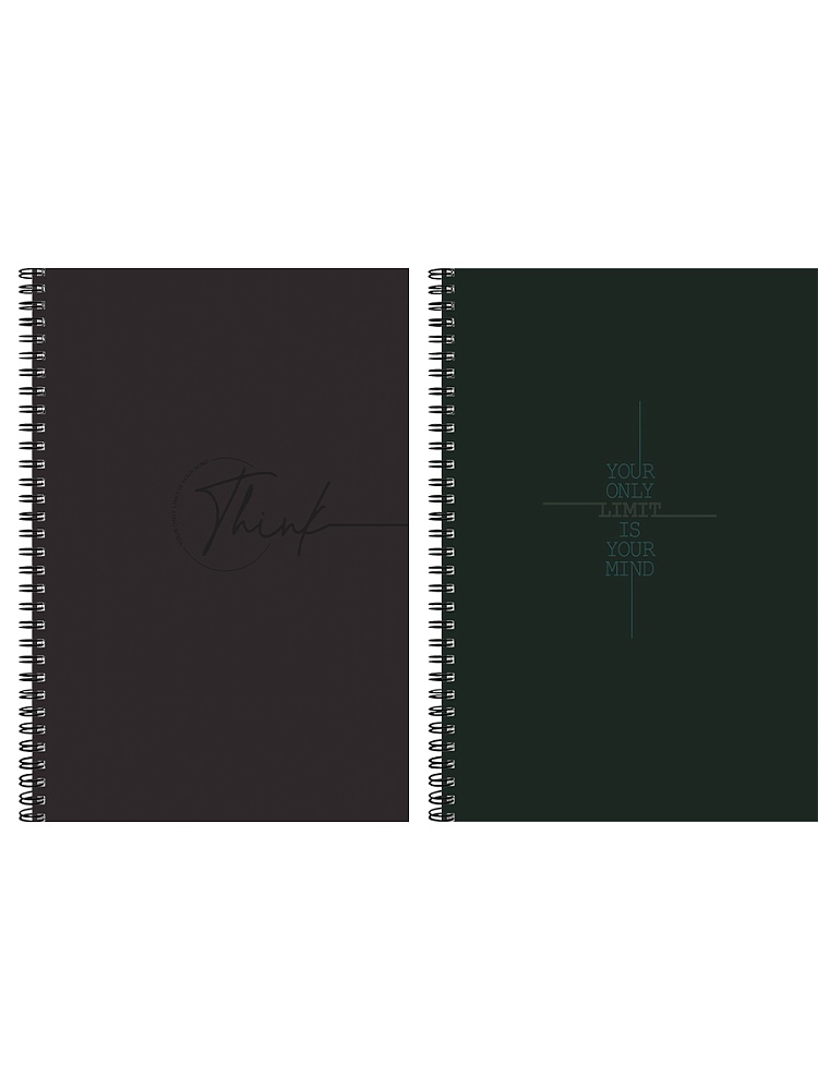 тетрадь а4 гребень 96л. кл. "минимализм и фразы-2" (проф-пресс) б/б,софт тач,асс-т Тетрадь а4 гребень 96л. кл. "минимализм и фразы-2" (проф-пресс) б/б,софт тач,асс-т