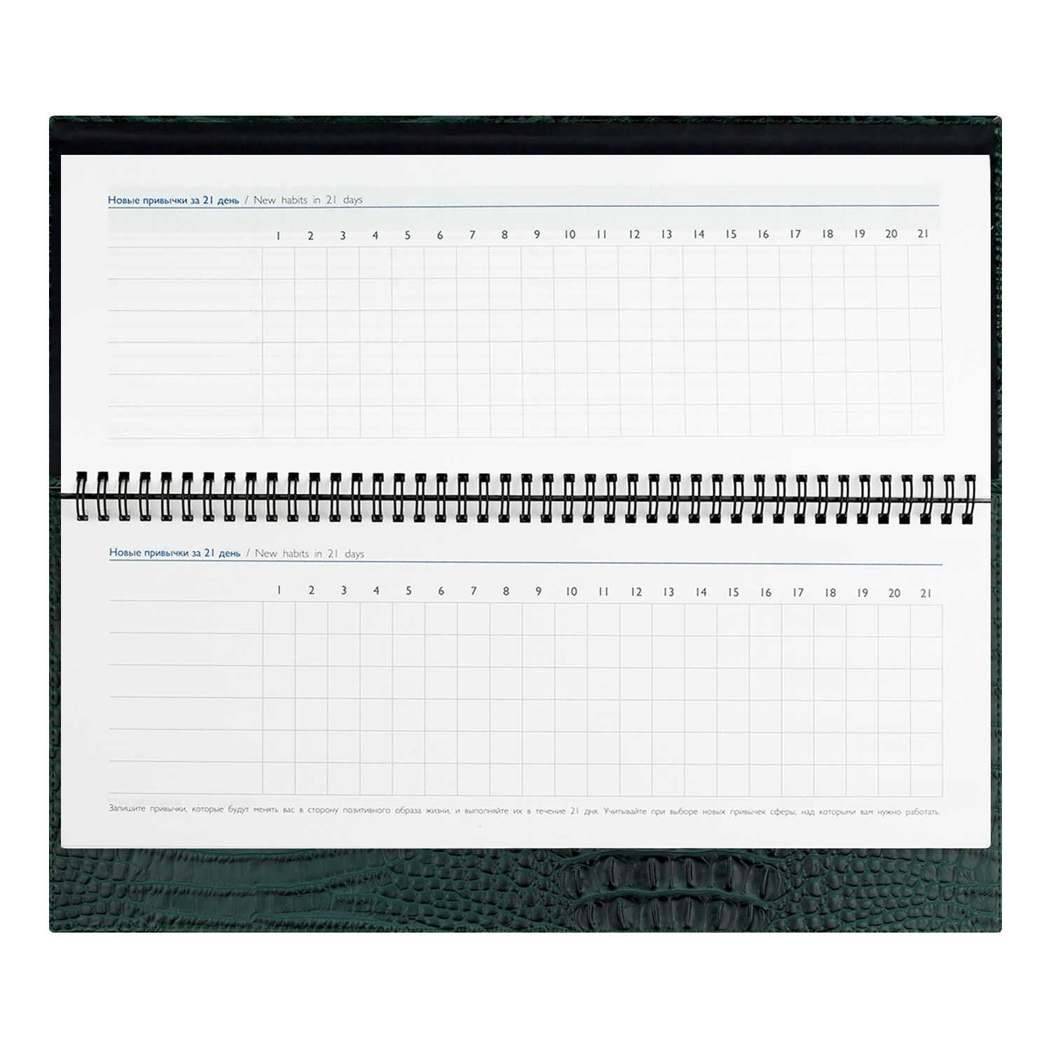 Еженедельник недатир. гребень 180х390мм escalada "аллигатор" зелёный тонир.блок,кож.зам.