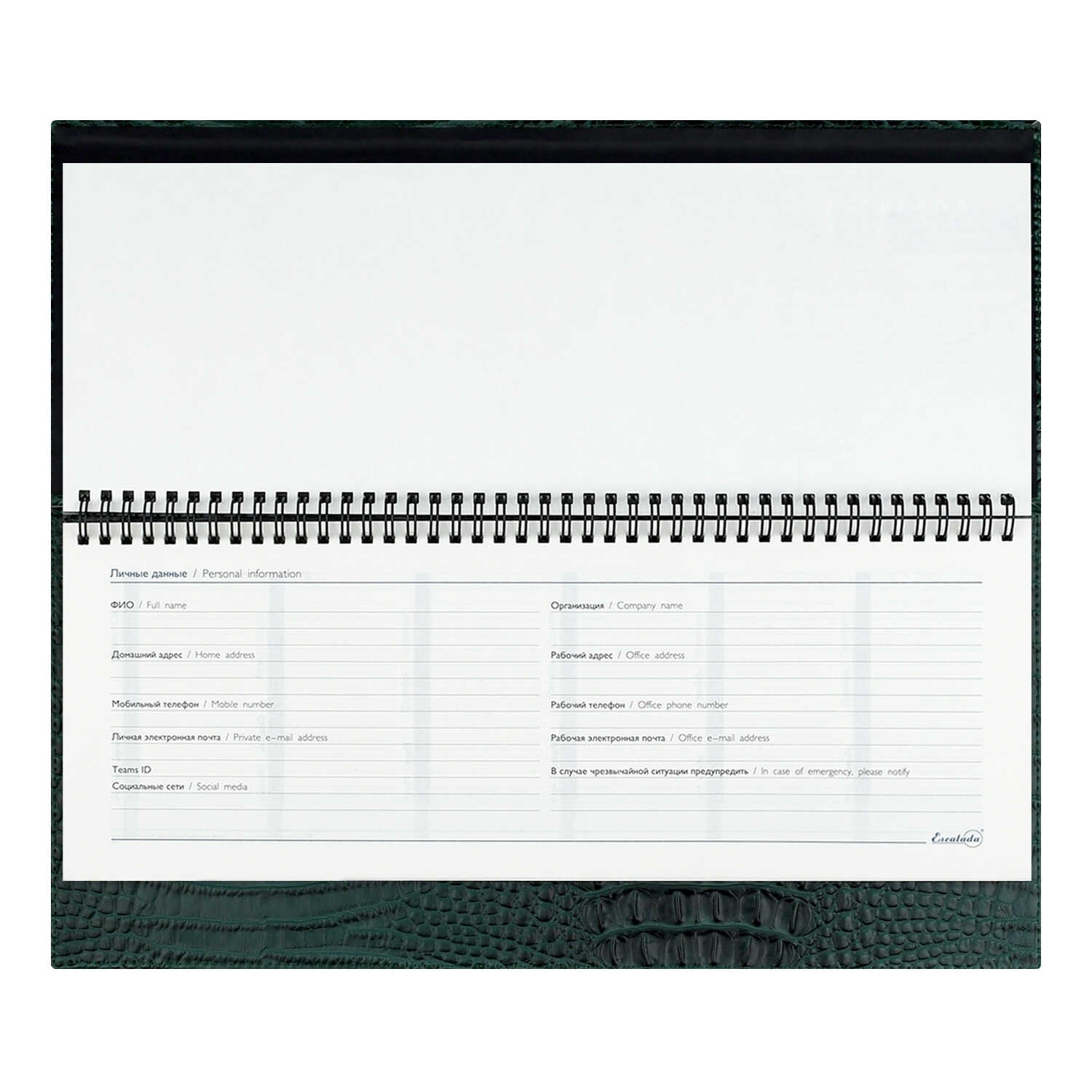 Еженедельник недатир. гребень 180х390мм escalada "аллигатор" зелёный тонир.блок,кож.зам.