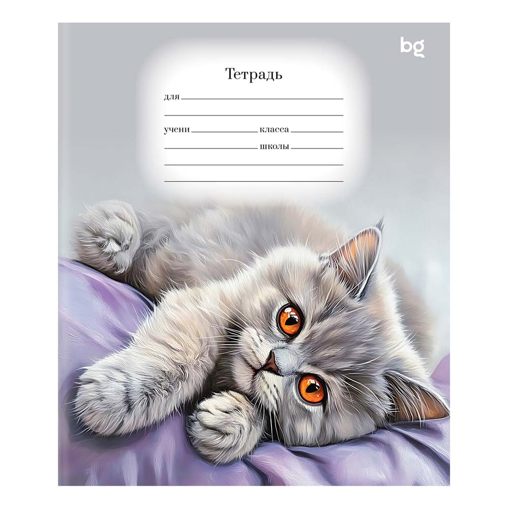 Тетрадь 18л. кл. "purple cats" (bg) б/б,лак,асс-т